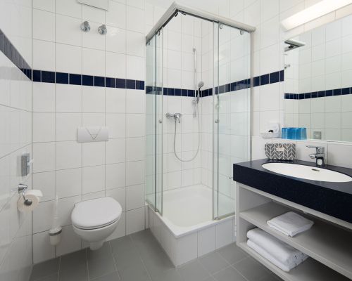 Badezimmer mit Dusche, WC und Waschbecken.
