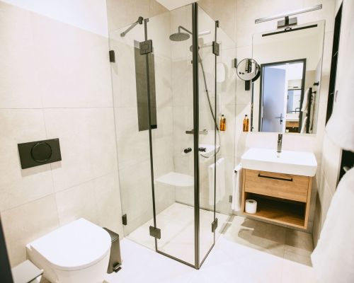 Modernes Badezimmer im Standard-Dreibettzimmer mit WC, Waschbecken, bodengleicher Glasdusche und schwarzen Armaturen.