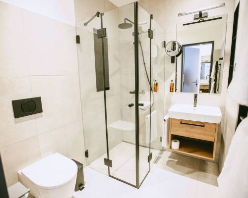 Modernes Badezimmer im Standard-Dreibettzimmer mit WC, Waschbecken, bodengleicher Glasdusche und schwarzen Armaturen.